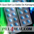 À Quoi Sert La Gelée De Kamagra viagra4